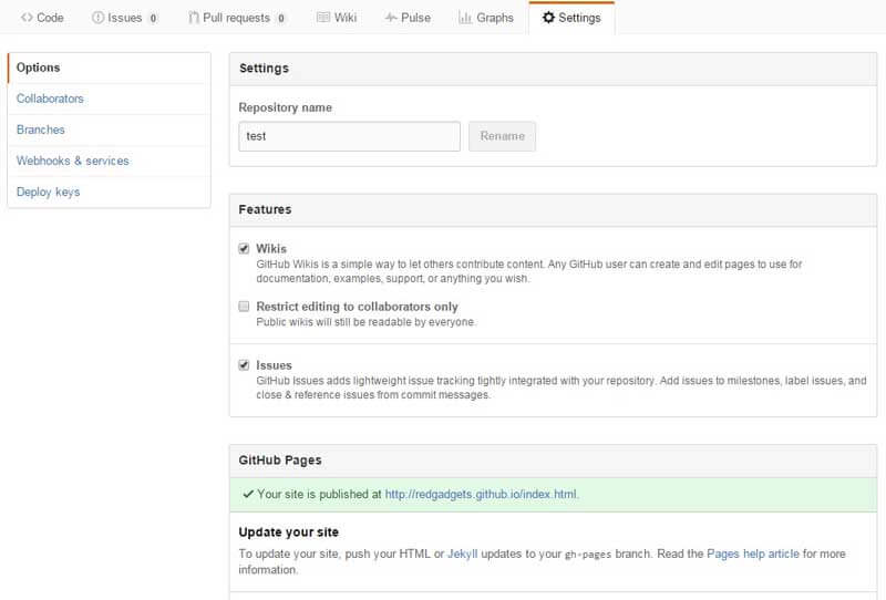 settings tab with github pages url